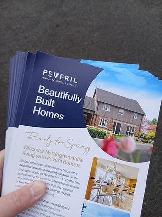 Sunderland Solus Leaflet Distribution 2.jfif