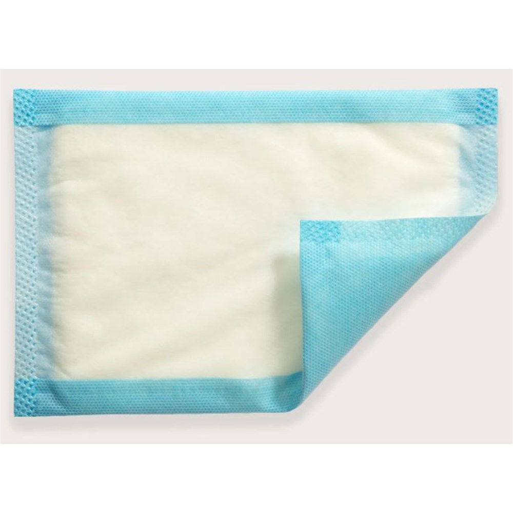 Mesorb Absorbent Dressing 10x23cm B50