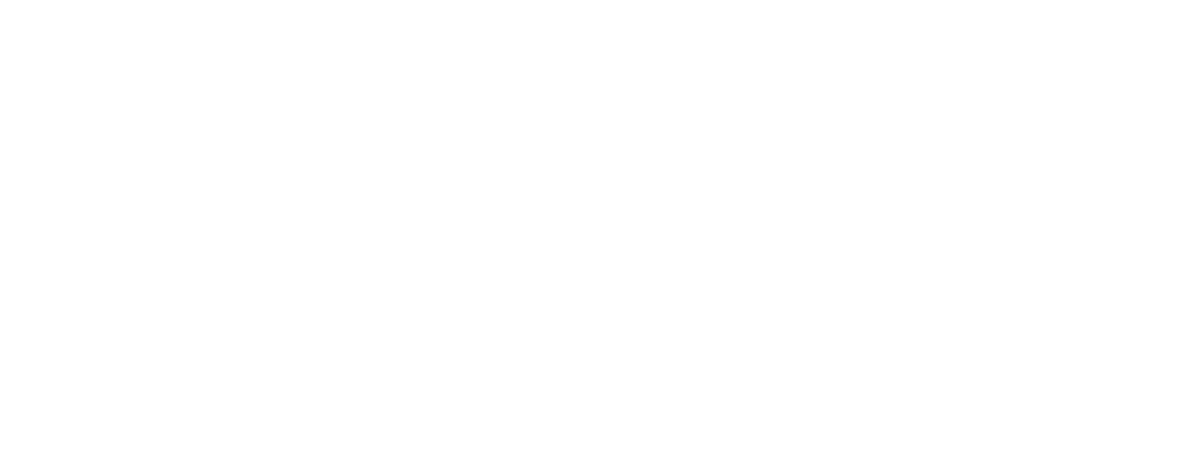 Schrift_weiss.png