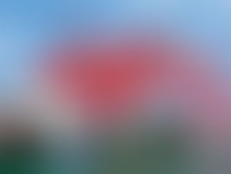 China's foreign trade shows strong resilience