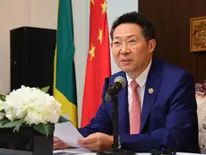 OPINION: The evergreen tree of China-LAC cooperation