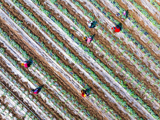 China launches five-year plan to strengthen rural supply network