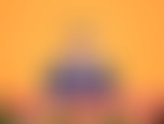 President Xi Jinping Chinese New Year Message