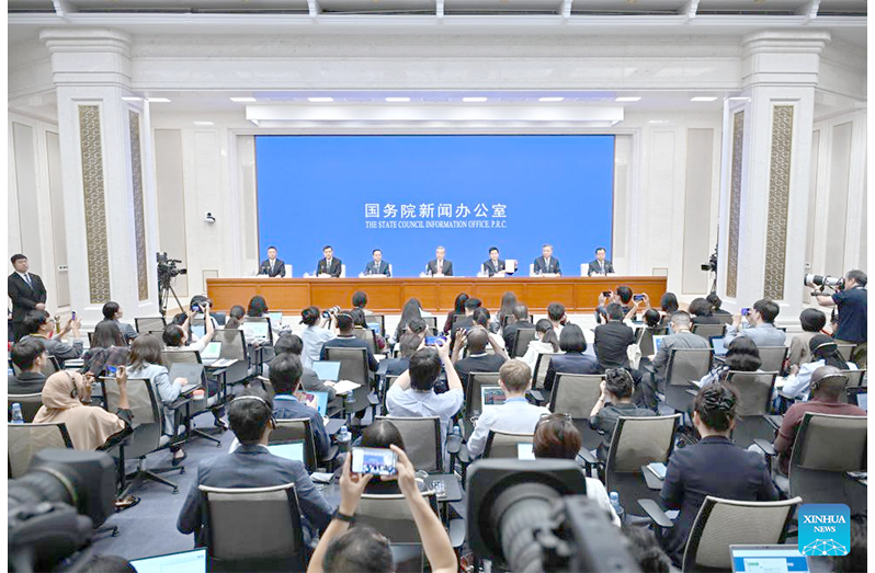 China releases white paper on global governance