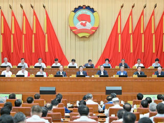 Top political advisor stresses CPPCC's role as special consultative body