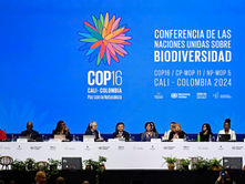 China details work on biodiversity at COP16