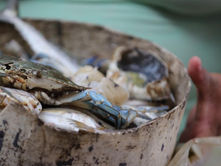 LAC countries to unlock more opportunities in China market: Foreign Ministry