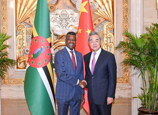 China reaffirms support for technological development during talks with Dominica
