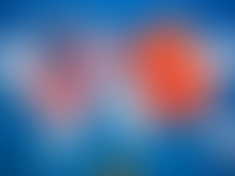 China, U.S. hold 5th meeting of economic and financial working groups