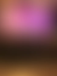 EMPRESARIOS PACEÑOS PARTICIPARÁN CON TECNOLOGÍA E IA EN LA FEXCO 2026