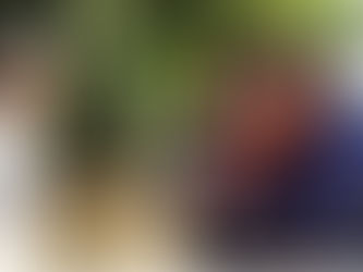 CENSO EXPERIMENTAL EN CAPINOTA DEJA DOS LECCIONES PARA MEJORAR: EL IDIOMA Y LA CONEXIÓN