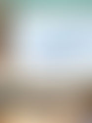 PIL BOLIVIA IMPULSA DIÁLOGO CON ONGs PARA CONSTRUIR SU AGENDA DE SOSTENIBILIDAD