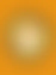 LOS NEGOCIOS INFORMALES SON EL MOTOR DE LA ECONOMÍA NARANJA EN COCHABAMBA