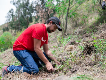 LA PLANTA PRODUCTIVA DE EMBOL COCHABAMBA TRANSFORMA LODO RESIDUAL EN ABONO ORGÁNICO PARA REFORESTACIÓN
