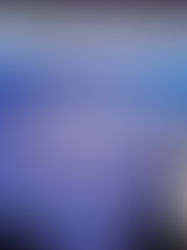 ARRANCA EL FORO ECONÓMICO QUE BUSCA IMPULSAR EL CRECIMIENTO EN AMÉRICA LATINA Y EL CARIBE