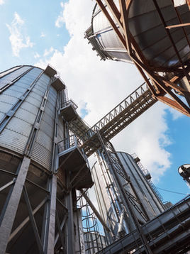 FANCESA ELEVA PRODUCCIÓN Y MIRA EL MERCADO EXTERNO