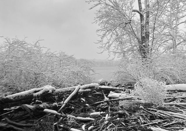 BW hh park 2023.jpeg