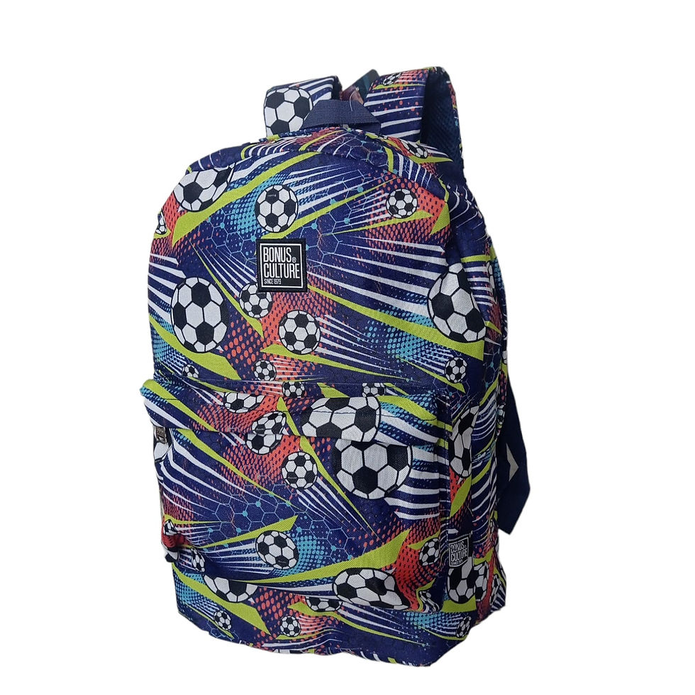 Mochila escolar ref:4066