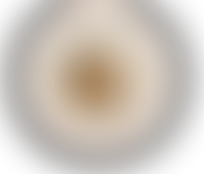 Date Choco Chip Cookie ༘⋆