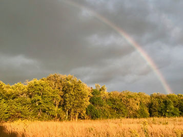 Make Mine an MRI With a Side of Enya and a Rainbow for Dessert: Everyday Magic, Day 1060