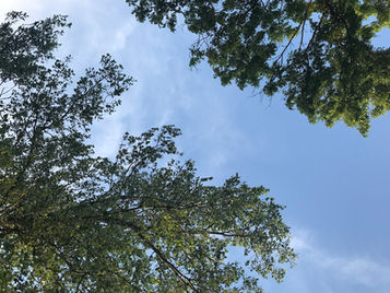 Breathe In Peace, Breathe Out Love: Everyday Magic, Day 1008