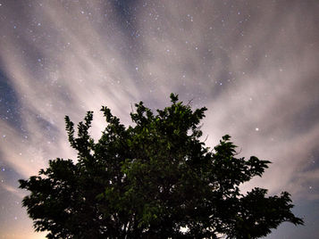 When the dark encompassed the sky, I came alive, my little but fierce mind spinning on the axle of imagination.