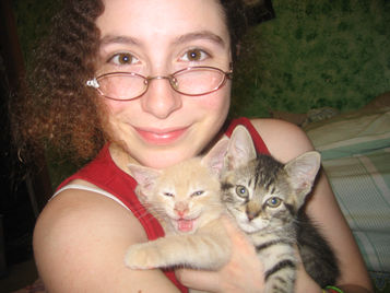 Kitten Season