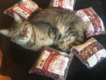 A Small Thanksgiving With Too Many Cranberries: Everyday Magic, Day 1021