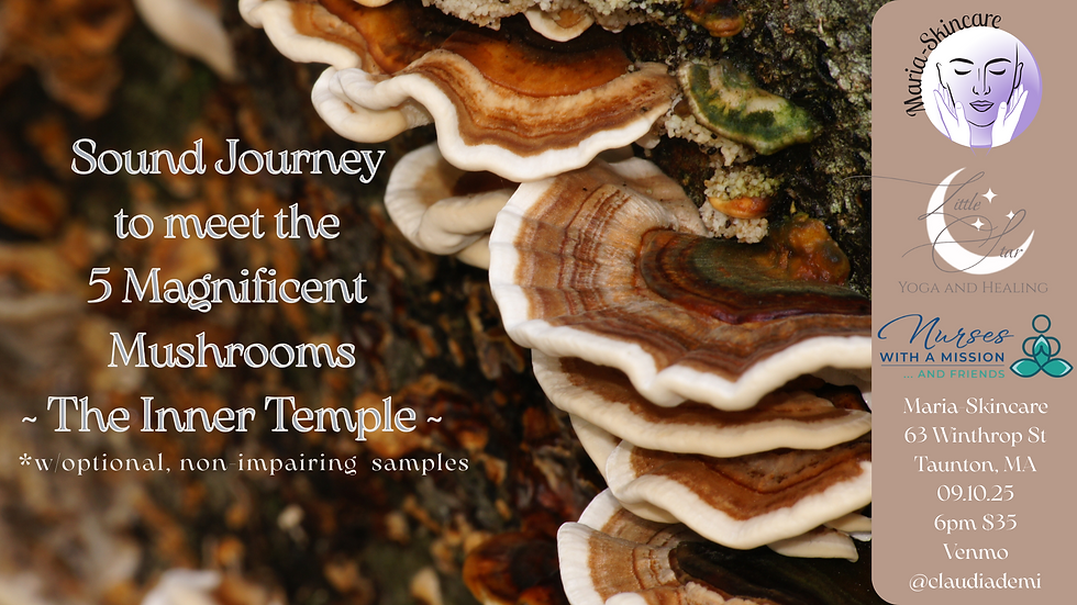 Sound Journey to Wisdom