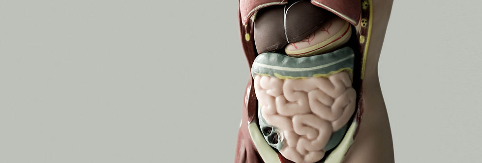 GI issues impact neurodevelopment in Down Syndrome