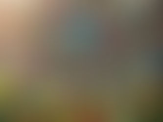 question marks on a rustic background with flowers
