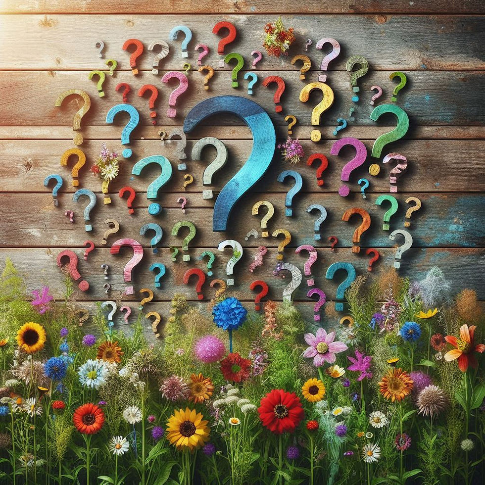 question marks on a rustic background with flowers
