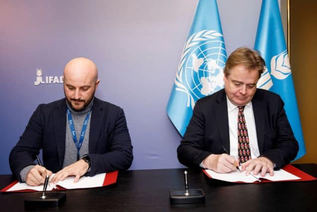 Andrea Geremicca, UNITED NATIONS