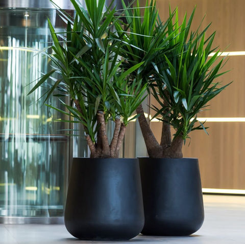 aménagement de bureaux Paris