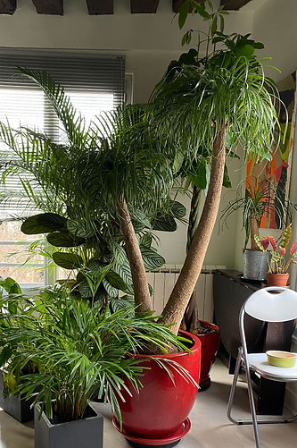 grand pot en céramique rouge