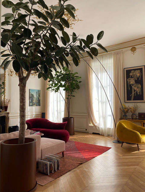 Aménagement de plantes intérieur