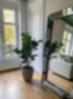 Miniature : Plante intérieur Paris