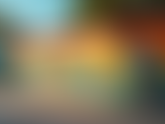 Exploring Art and Oddities in Our Community Space