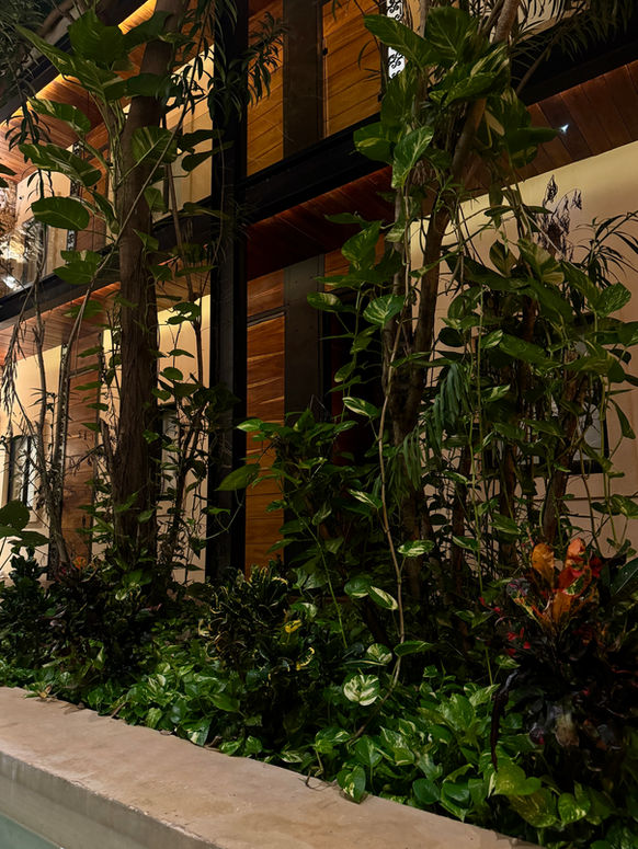 Jardín interior con plantas verdes en el Hotel Travertino