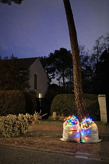 De vergankelijkheid Kerst VII