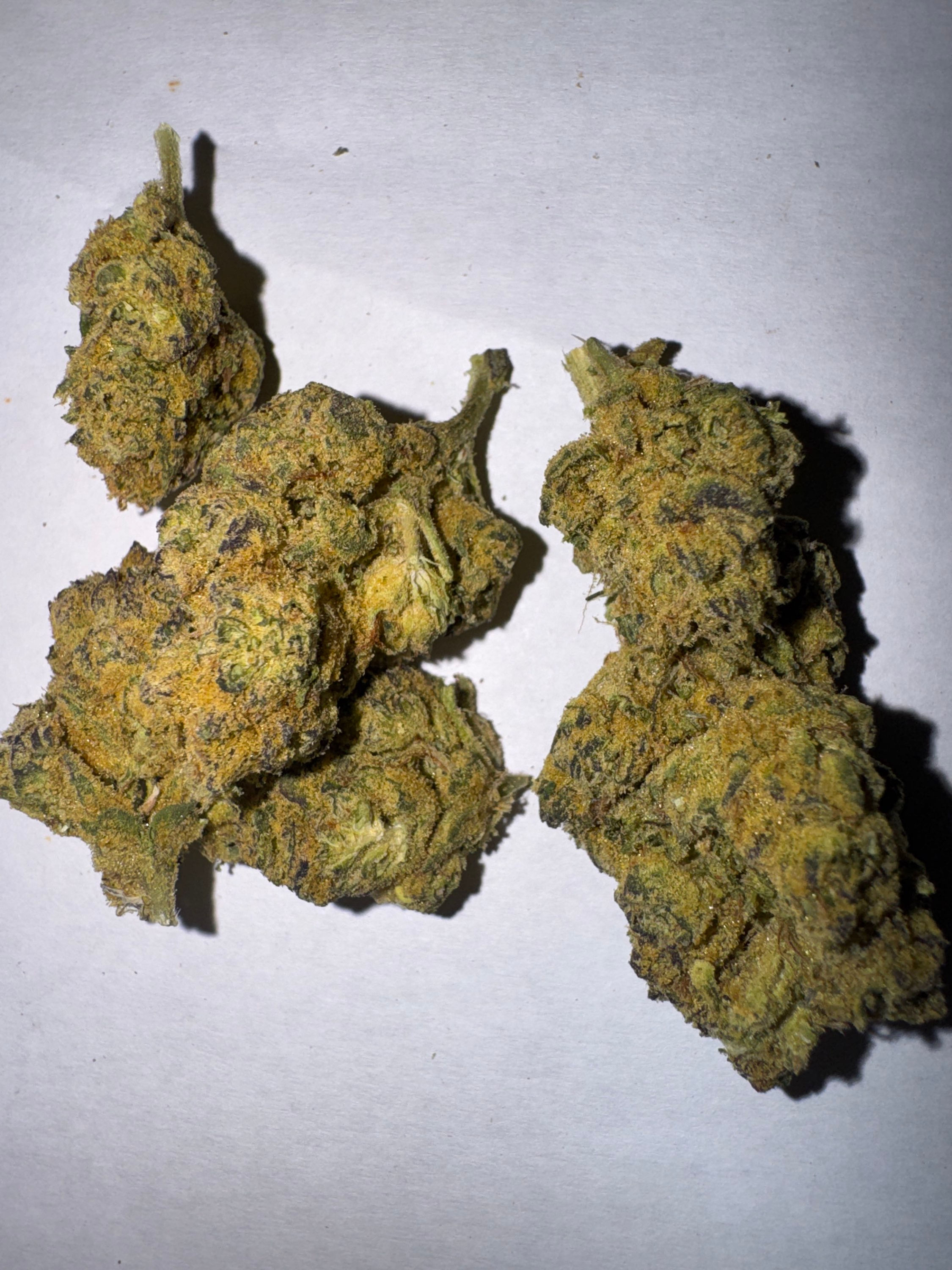 Gelato 40 (indica)AAA+