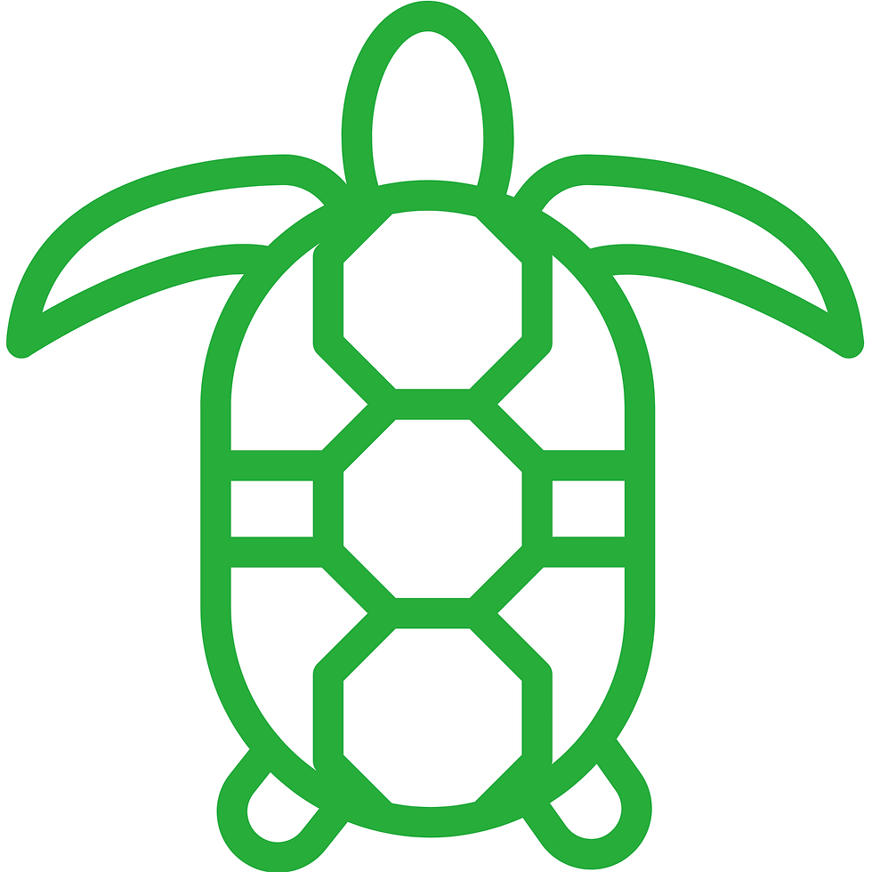 Thumbnail: Turtle Knockers 