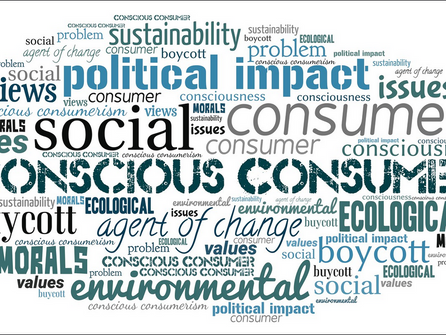 8 Struggles of the Conscious Consumer