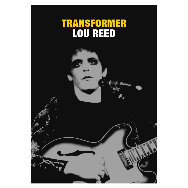 Camiseta Lou Reed Transformer