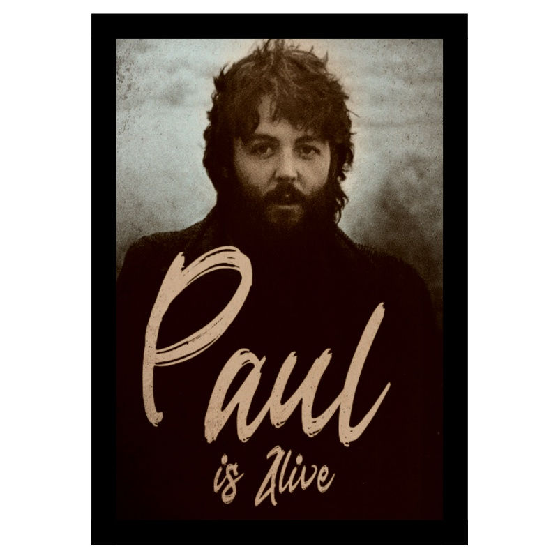 Quadro Paul McCartney