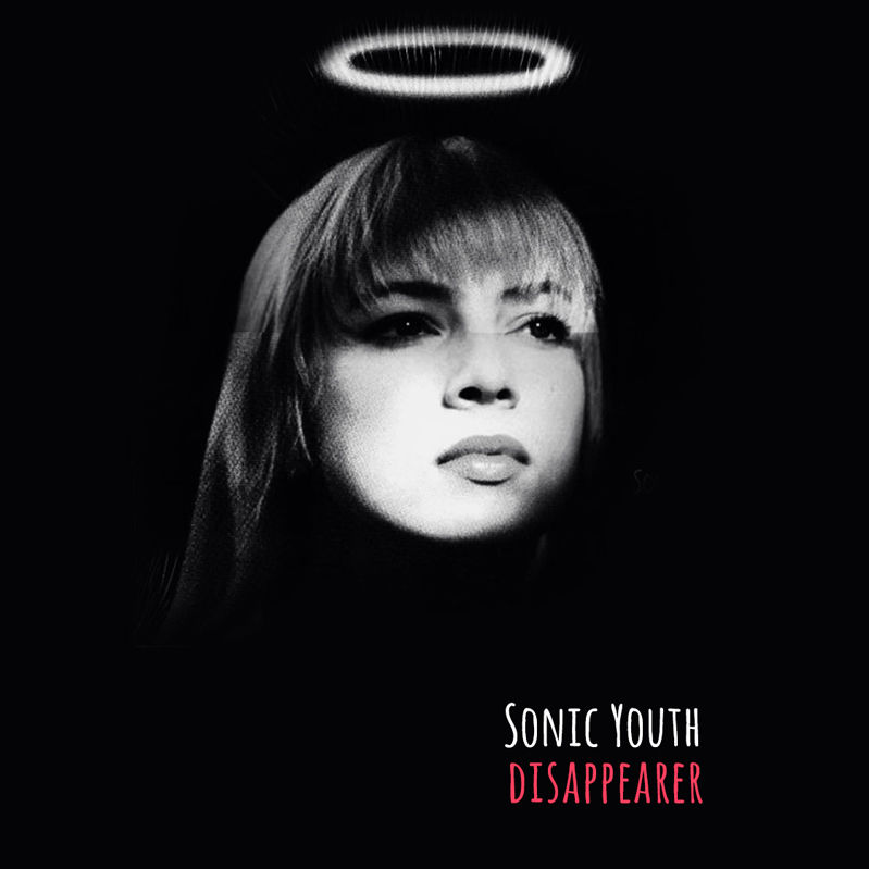 Miniatura: Camiseta Sonic Youth - Disappearer