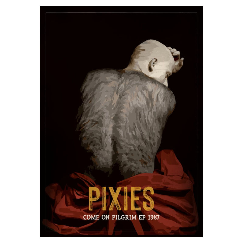 Camiseta Come on Pilgrim - Pixies