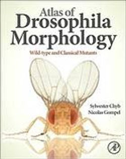 Atlas_de_Drosophila_morfología_de_tipo_salvaje_y_mutantes_clásicos