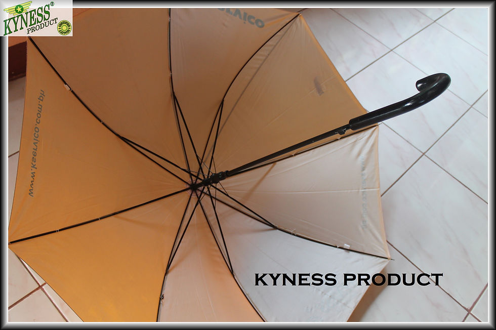 PROMOTIONAL ITEM UMBRELLA 