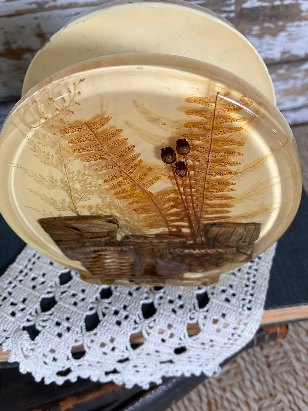 Thumbnail: Vintage 1970s Lucite Resin Napkin Holder with Pressed Ferns & Baskets
